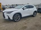 2026 LEXUS NX 350H BA