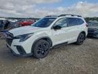 2025 SUBARU ASCENT ONY
