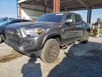 2023 TOYOTA TACOMA DOU