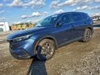 2026 HONDA CR-V EXL