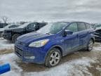2014 FORD ESCAPE SE SE
