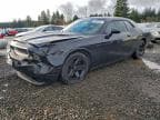 2013 DODGE CHALLENGER