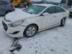 2015 HYUNDAI SONATA HYB HYBRID