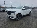 2023 CADILLAC ESCALADE S