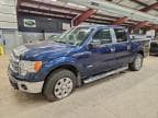 2013 FORD F150 SUPER