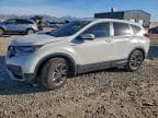2022 HONDA CR-V EXL