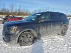 2021 KIA TELLURIDE
