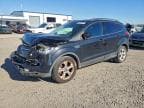 2015 FORD ESCAPE SE SE