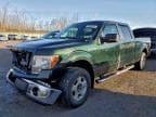 2013 FORD F150 SUPER