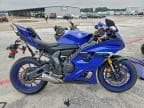 2025 YAMAHA YZFR7