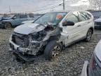 2014 HONDA CR-V LX LX