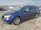 2014 HONDA ODYSSEY EX EX