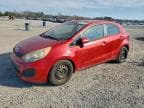 2013 KIA RIO