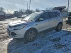 2016 FORD ESCAPE TIT TITANIUM