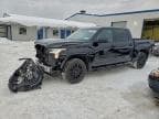 2023 TOYOTA TUNDRA CRE
