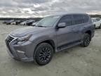 2021 LEXUS GX 460 PRE