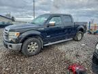 2013 FORD F150 SUPER