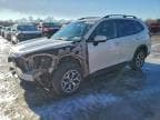 2019 SUBARU FORESTER P