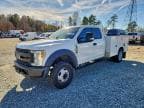 2019 FORD F450