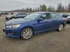 2013 HONDA ACCORD EXL
