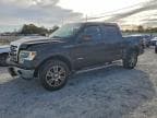 2014 FORD F150 SUPER SUPERCREW