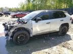 2023 TOYOTA RAV4 PRIME