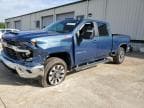 2025 CHEVROLET SILVERADO K2500 HEAVY DUTY LT