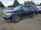 2019 HONDA PILOT TOUR