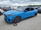 2023 FORD MUSTANG MA