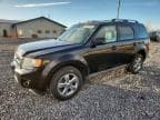 2012 FORD ESCAPE LIM
