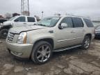 2013 CADILLAC ESCALADE L