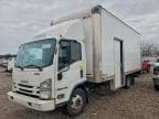 2019 ISUZU NPR HD