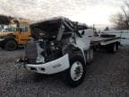 2019 HINO 258/268
