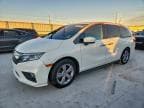 2020 HONDA ODYSSEY EX