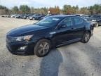 2016 KIA OPTIMA HYB HYBRID
