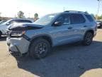 2023 HONDA PILOT TRAI