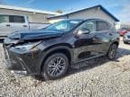 2025 LEXUS NX 350 BAS