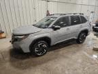2025 SUBARU FORESTER P