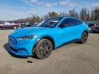 2023 FORD MUSTANG MA