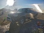 2013 TOYOTA TACOMA DOU
