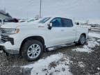 2023 CHEVROLET SILVERADO