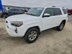 2022 TOYOTA 4RUNNER SR