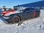 2019 DODGE CHARGER SC