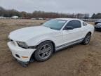 2010 FORD MUSTANG