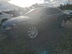 2006 ACURA TSX