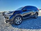 2019 HONDA CR-V EXL