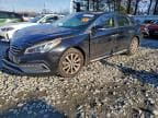 2017 HYUNDAI SONATA SPO SPORT