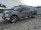 2013 FORD F150 SUPER