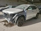 2025 LEXUS NX 450H LU