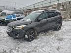 2018 FORD ESCAPE SEL SEL